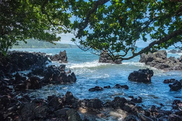 Litoral com grandes pedras e árvores — Fotografia de Stock