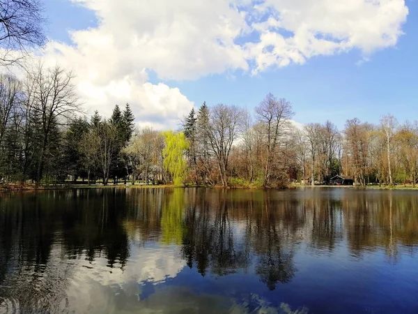 폴란드 젤레니아 기라에 연못에 아름다운 나무들의 과그들의 — 스톡 사진