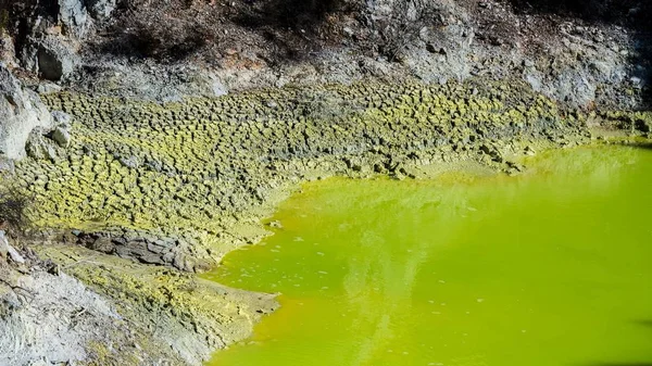 Een Mossige Natte Oever Bij Een Vijver Met Groen Water — Stockfoto