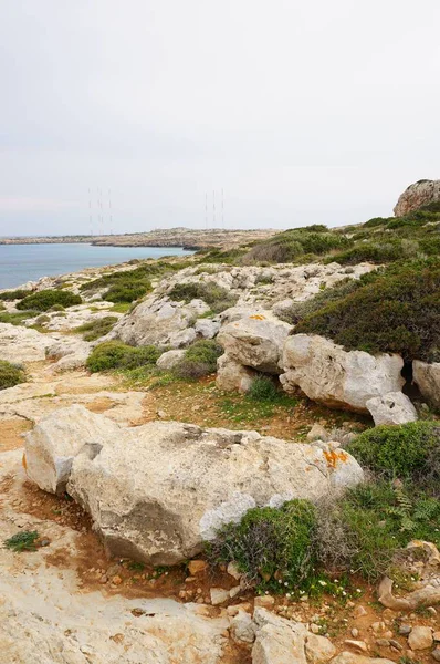 Colpo verticale della riva pieno di rocce ed erba con l'oceano sullo sfondo — Foto Stock