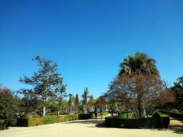 Prachtige opname van de loopbrug in het park vol bomen in Aranjuez, Spanje. — Stockfoto