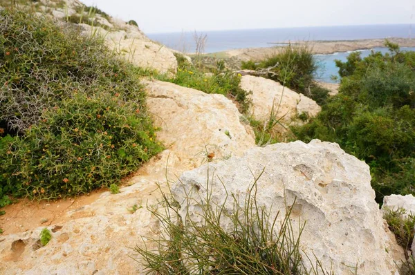 Hermoso tiro de las rocas cerca de la playa con el océano en segundo plano. —  Fotos de Stock