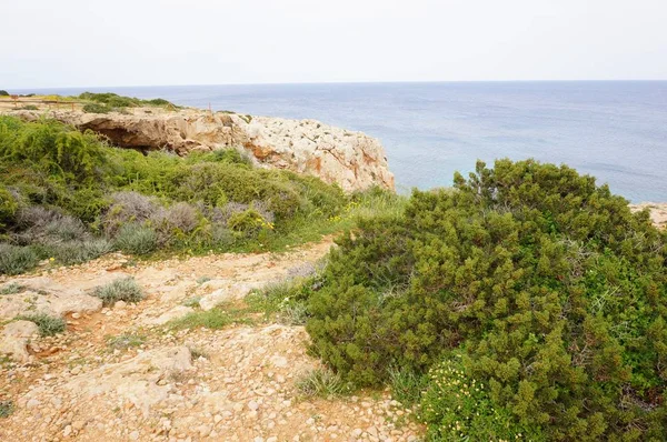 Вид на спокійний океан зі скелями і травою на березі — стокове фото