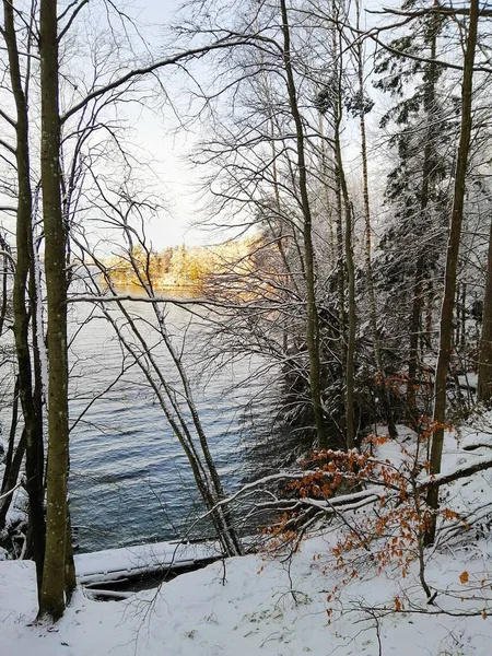 Vertikální obraz stromů pokrytých sněhem s řekou na pozadí v Larviku v Norsku — Stock fotografie