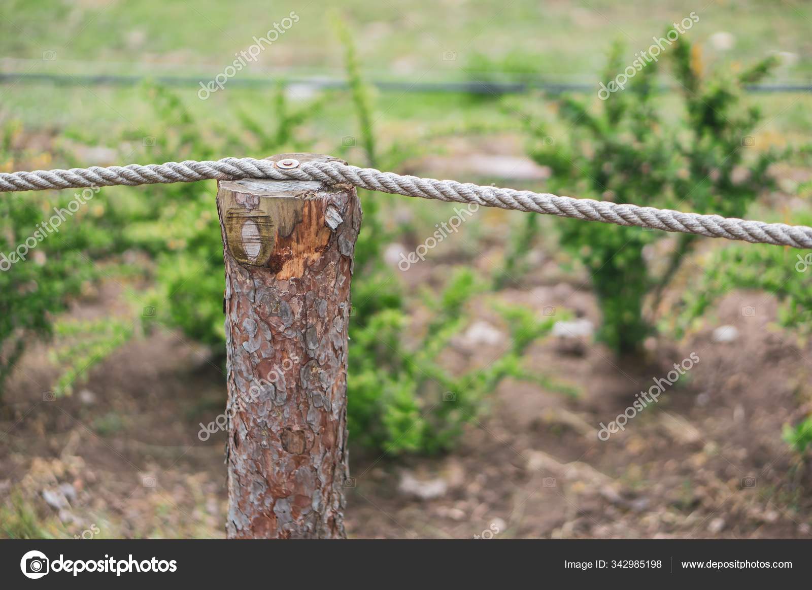 Fence Made Wood Rope Garden Plants Background Stock Photo by