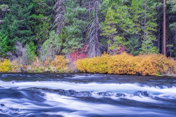 Ποταμός που περιβάλλεται από λουλούδια το φθινόπωρο κατά τη διάρκεια της ημέρας — Φωτογραφία Αρχείου