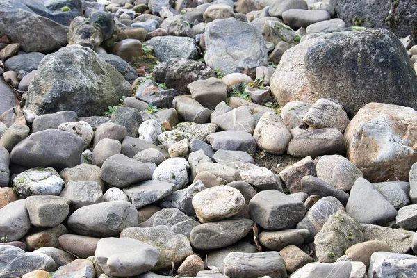 Угловой снимок земли, покрытой мелкими и крупными речными камнями — стоковое фото