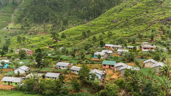 Gambar yang indah bangunan di bukit berumput dikelilingi oleh pohon-pohon — Stok Foto