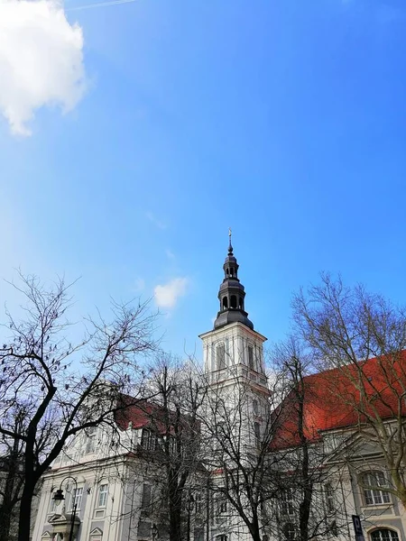 Colpo verticale della Chiesa dei Santi. Clare a Breslavia, Polonia con gli alberi in primo piano — Foto Stock