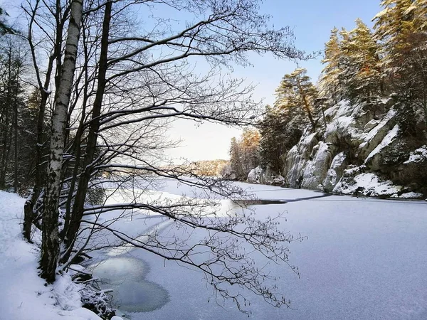 Заморожене Озеро Оточенні Каменів Дерев Покритих Снігом Під Сонячним Світлом — стокове фото