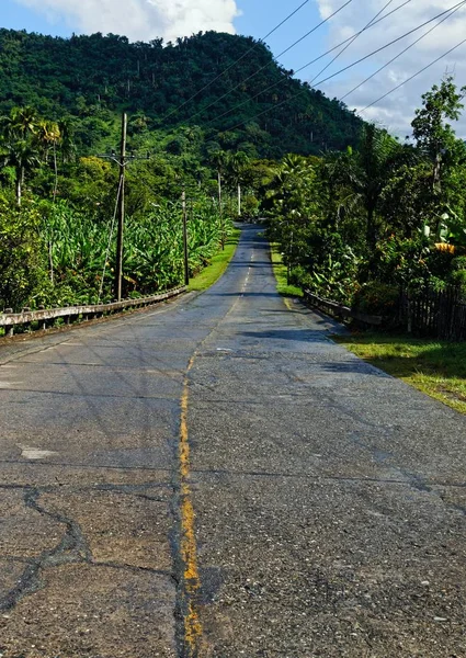 Estrada estreita cercada por vegetação bonita sob um céu nublado — Fotografia de Stock