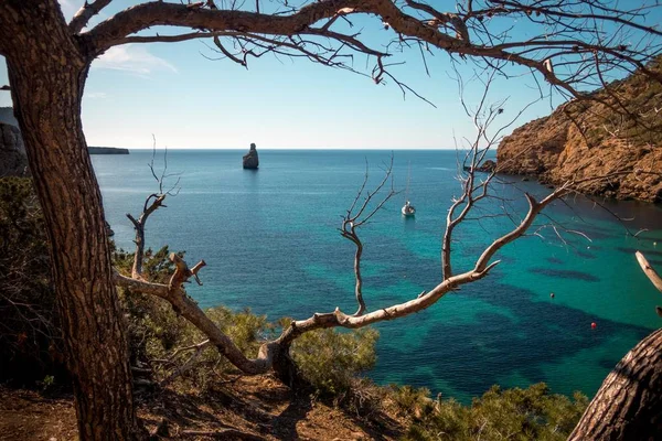 Mar rodeado de rocas y vegetación bajo la luz del sol en Ibiza. — Foto de Stock