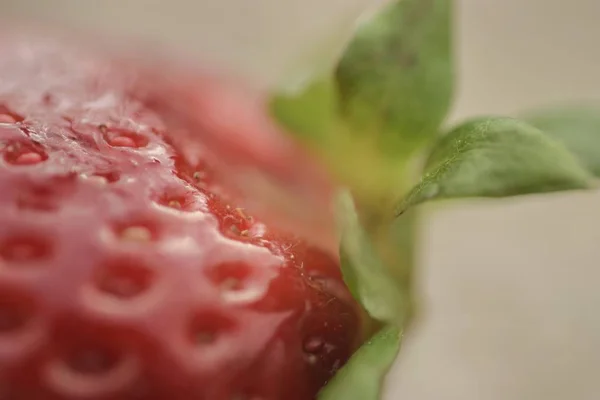 Extreme Nahaufnahme schoss eine rote leckere frische Erdbeere — Stockfoto