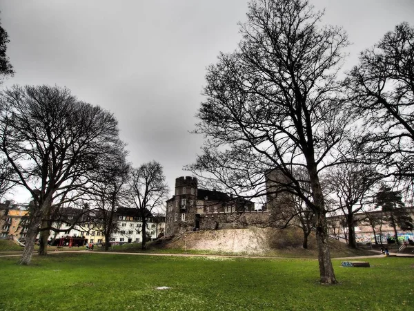 Weitwinkelaufnahme eines von Bäumen und einem Park umgebenen Gebäudes — Stockfoto