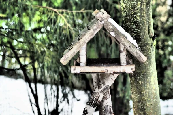 Primo piano sparato di una casa di legno attaccato ad un albero — Foto Stock