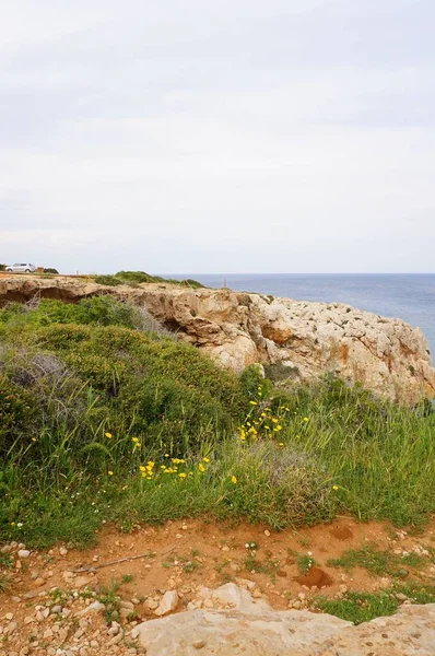Vertikální záběr skal na břehu s oceánem v pozadí — Stock fotografie