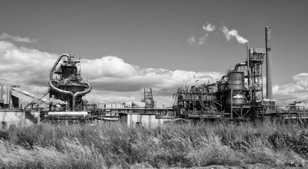 Сіро-коричневий завод, оточений травою під сонячним світлом і хмарним небом — стокове фото