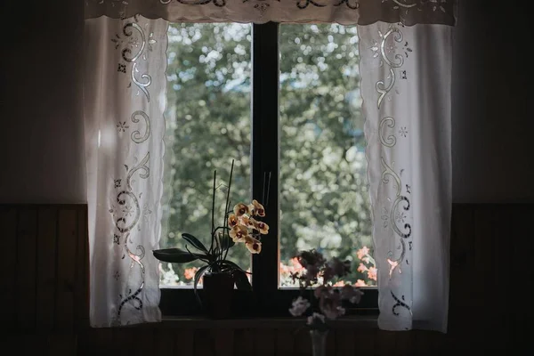 Φωτογραφία από παράθυρο με λευκές κουρτίνες και ορχιδέες — Φωτογραφία Αρχείου