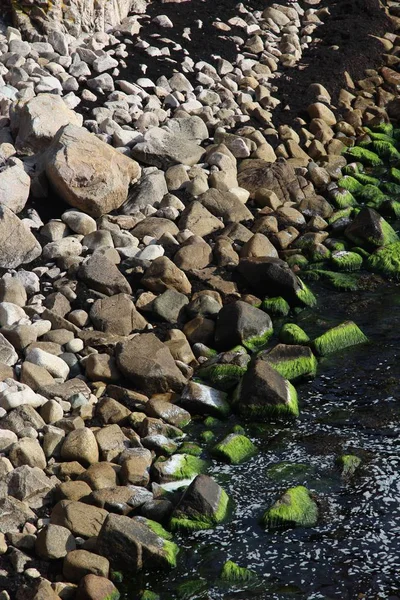 Függőleges lövés egy köves partvonal néhány kő borított algák — Stock Fotó