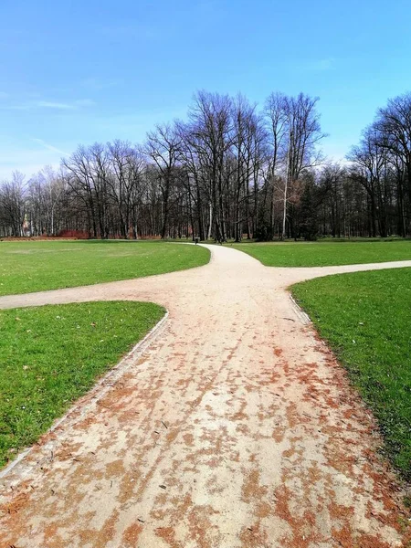 Bellissimo scatto della passerella suddivisa in quattro modi nel parco di Jelenia Góra, Polonia. — Foto Stock