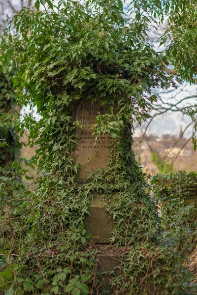 Verticale opname van een monument gemaakt van steen bedekt met boomtakken in het park — Stockfoto