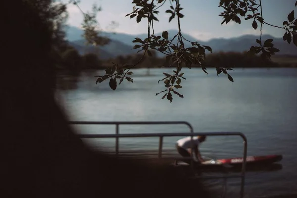 Selective focus shot of the tree branch next to a lake — Stock Photo, Image