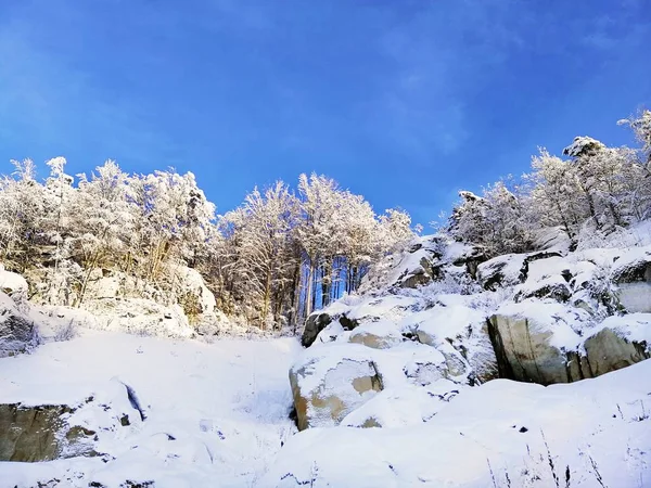 挪威拉尔维克的山景，阳光下覆盖着树木和积雪，蓝蓝的天空 — 图库照片