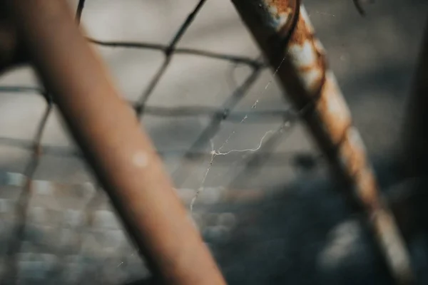 锈迹斑斑的钢栅栏上蜘蛛网的选择性聚焦镜头 — 图库照片