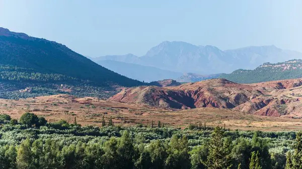 Güzel Bir Ağaç Görüntüsü Mavi Gökyüzünün Altındaki Ormanlı Dağlar — Stok fotoğraf