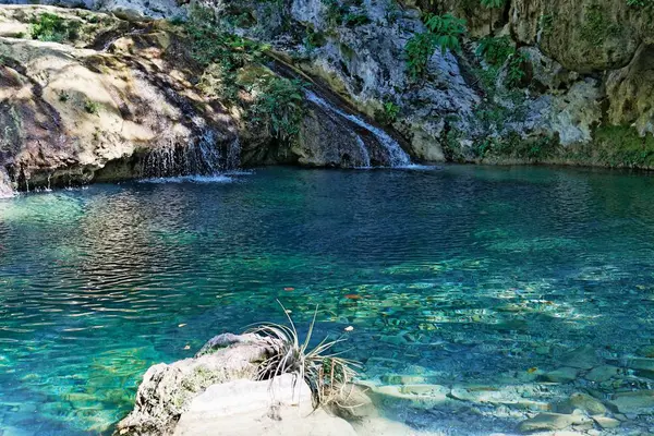 Prachtig meer met een waterval in een bos overdag — Stockfoto