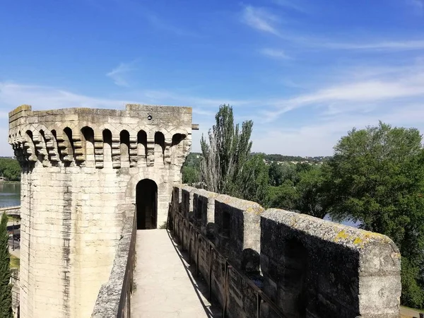 Rocher des Doms rodeado de árboles bajo la luz del sol y un cielo azul en Aviñón, Francia. — Foto de Stock