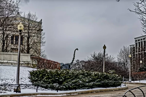 Металева статуя дракона в парку в Чикаго. — стокове фото