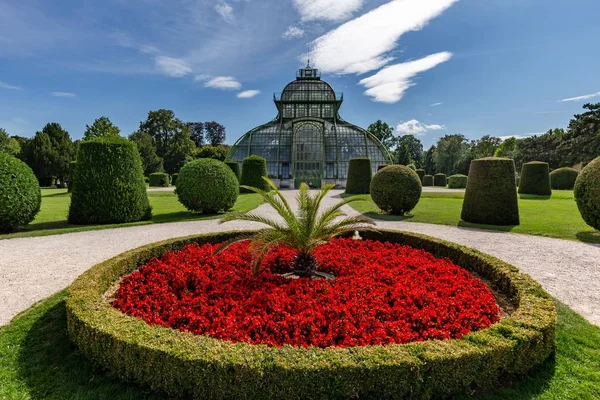 Bellissimo giardino botanico del palazzo di Schönbrunn a vienna, Austria — Foto Stock