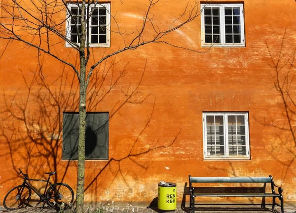Fiets, bank, vuilnisbak en een naakte boom naast een bakstenen gebouw — Stockfoto