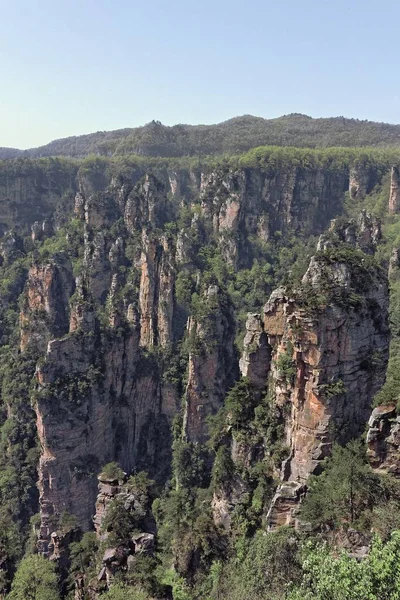 Penhasco ao lado da montanha coberta de árvores e vegetação — Fotografia de Stock