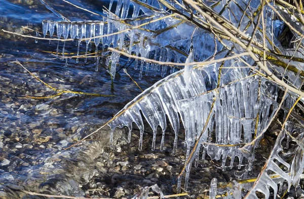 Icycles auf den Ästen der Bäume während des Tages — Stockfoto