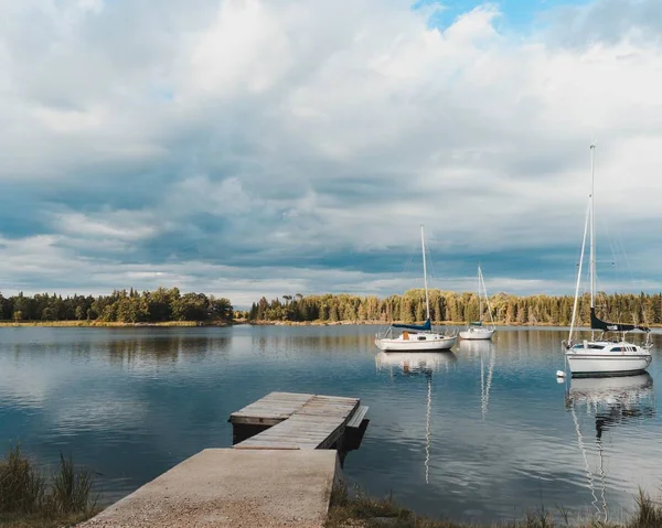 Hermoso Paisaje Lanchas Blancas Lago Rodeado Hermosos Árboles Verdes —  Fotos de Stock