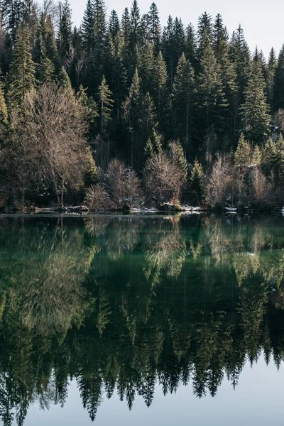 Vertikal bild av en sjö omgiven av en skog med träd reflekterande på vattnet — Stockfoto