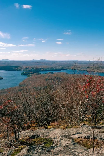 Вертикальний знімок красивого озера з пагорба з чагарниками — стокове фото