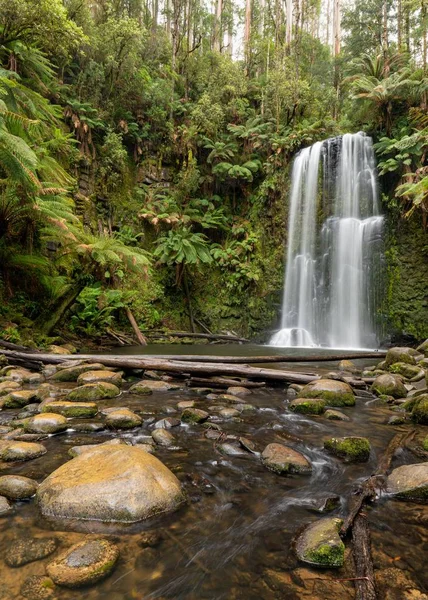 Vertical picture of a waterfall surrounded by bushes and leaves under the sunlight — Stock Photo, Image