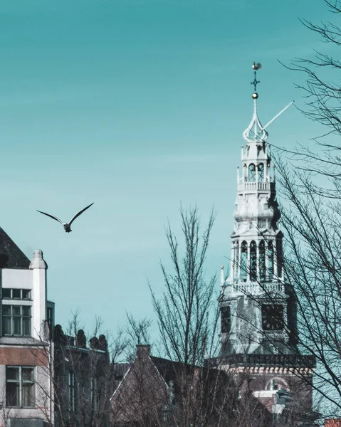 Krásný záběr věže a pták letící na modré obloze — Stock fotografie