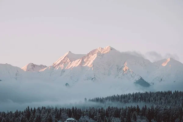 Τοπίο των λόφων και των δασών που καλύπτονται από το χιόνι κάτω από το φως του ήλιου και συννεφιασμένο ουρανό — Φωτογραφία Αρχείου