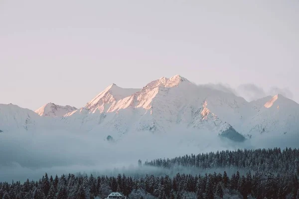 Landscape of hills and forests covered in the snow under the sunlight and a cloudy sky — Stock Photo, Image