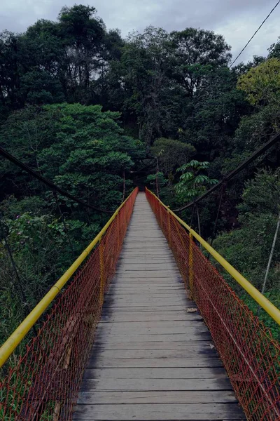 Vertical shot of a wooden bridge leading to a forest — Stock Photo, Image