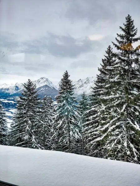 Bred bild av en snöig skog full av tallar med en molnig himmel och en bergskedja på baksidan — Stockfoto