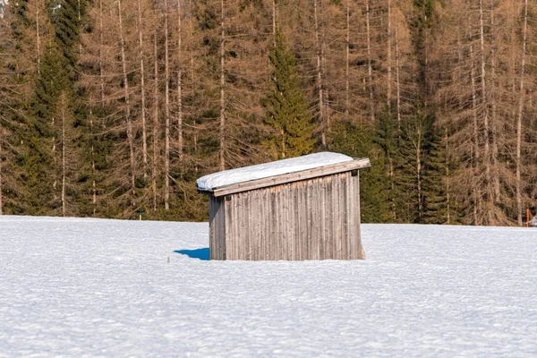 Fusillade d'une remise en bois isolée à l'extérieur de la forêt en hiver — Photo