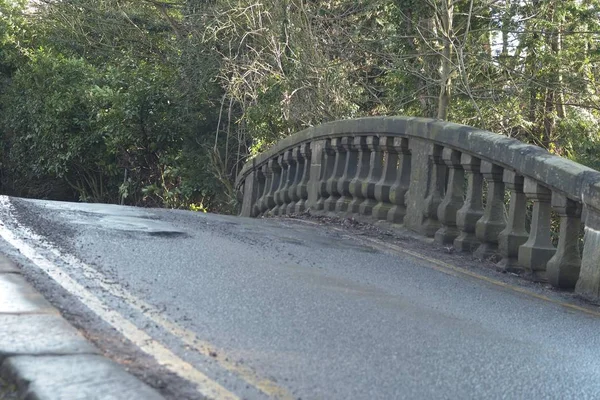 Tiro Ángulo Bajo Parte Superior Puente Arqueado Alineado Por Árboles —  Fotos de Stock