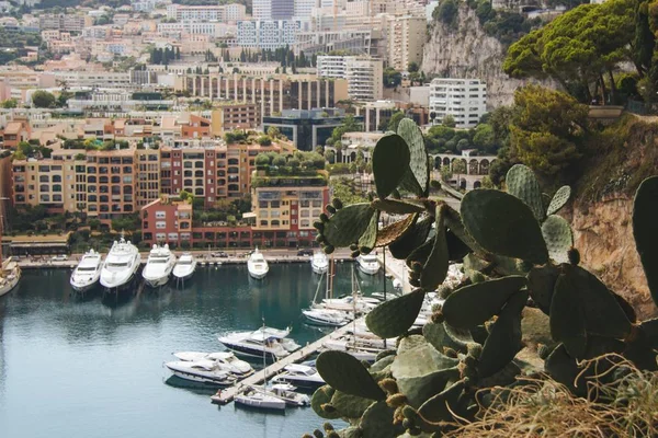 Wide angle shot of The Fontvieille port in Monaco — Stock Photo, Image