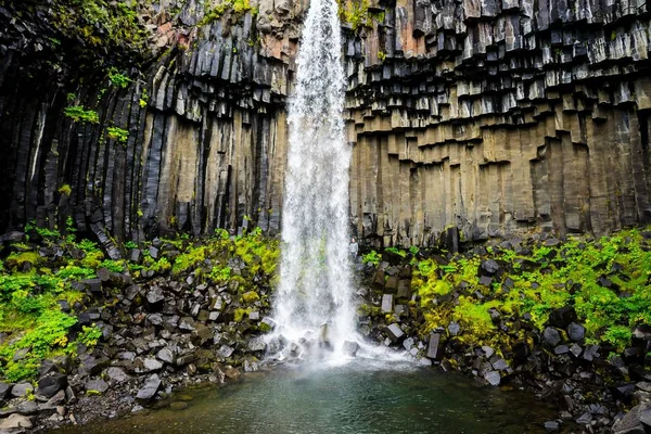 İzlanda 'daki Svartifoss şelalesinin güzel görüntüsü. — Stok fotoğraf