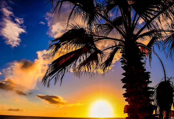 Silhouette einer Palme unter einem atemberaubenden Himmel bei Sonnenuntergang auf den Kanarischen Inseln, Spanien — Stockfoto